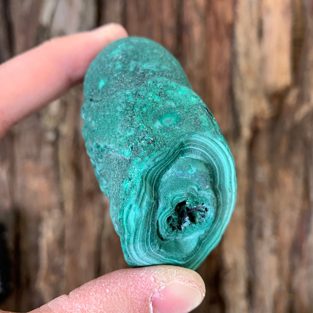 7.4cm 204g Malachite Stalactite from Sepon Mine, Laos