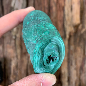 7.4cm 204g Malachite Stalactite from Sepon Mine, Laos