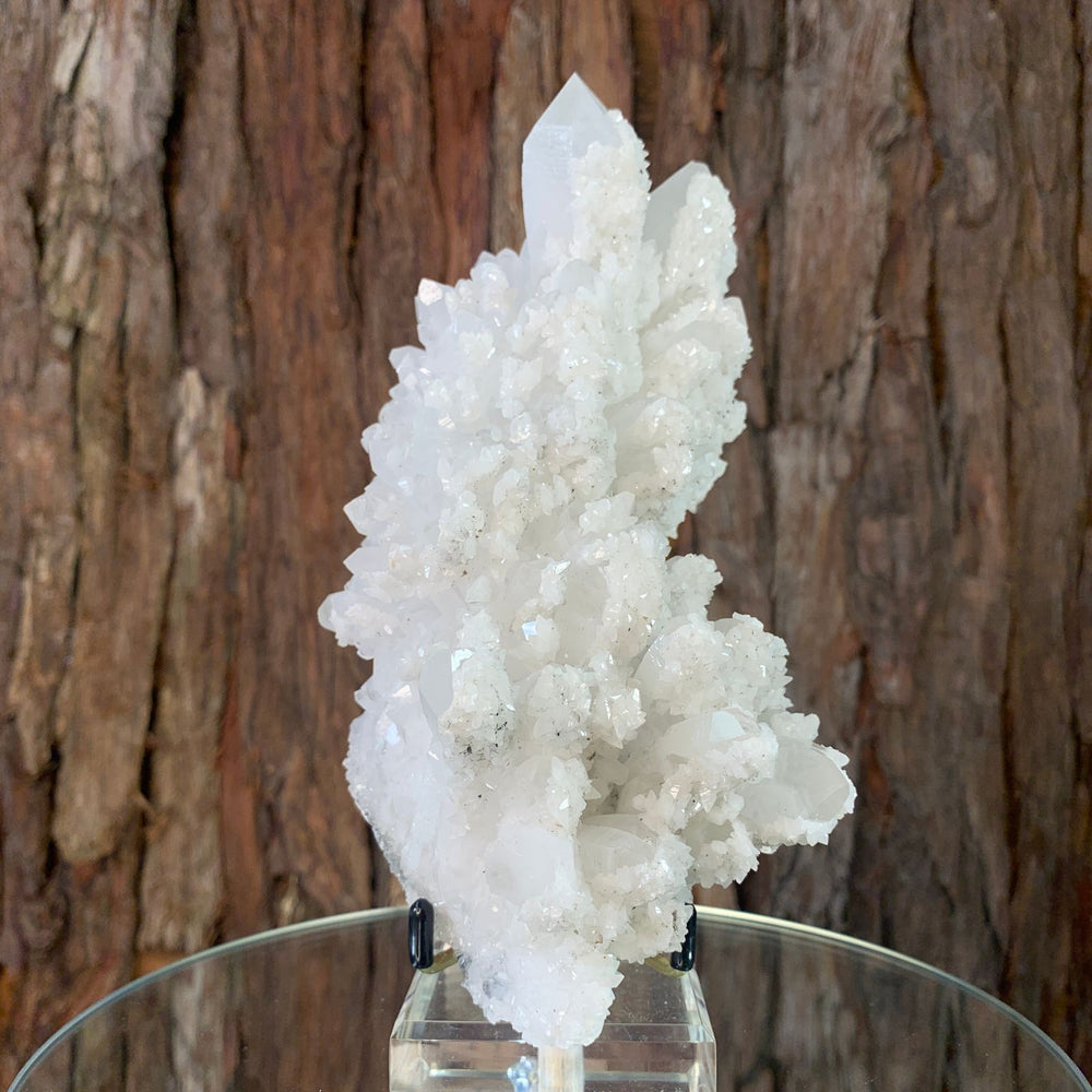19cm 1.2kg Clear Quartz with Pyrite from Myanmar