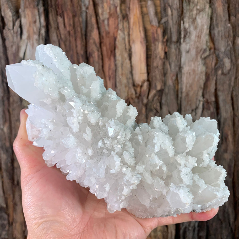 19cm 1.2kg Clear Quartz with Pyrite from Myanmar