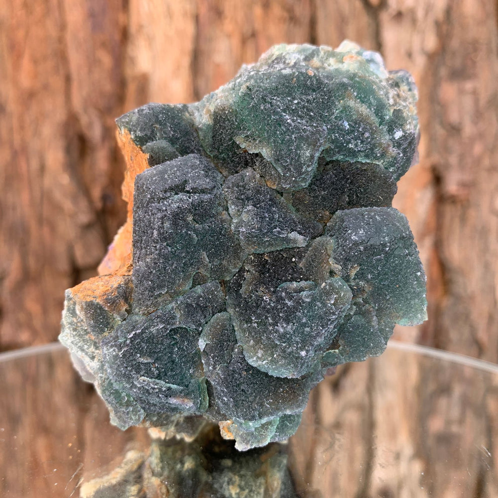 9.5cm 542g Green Fluorite from Heilongjiang, China