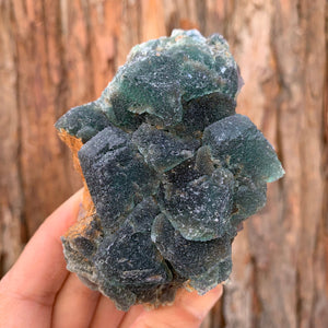 9.5cm 542g Green Fluorite from Heilongjiang, China