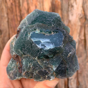 9.5cm 598g Green Fluorite from Heilongjiang, China