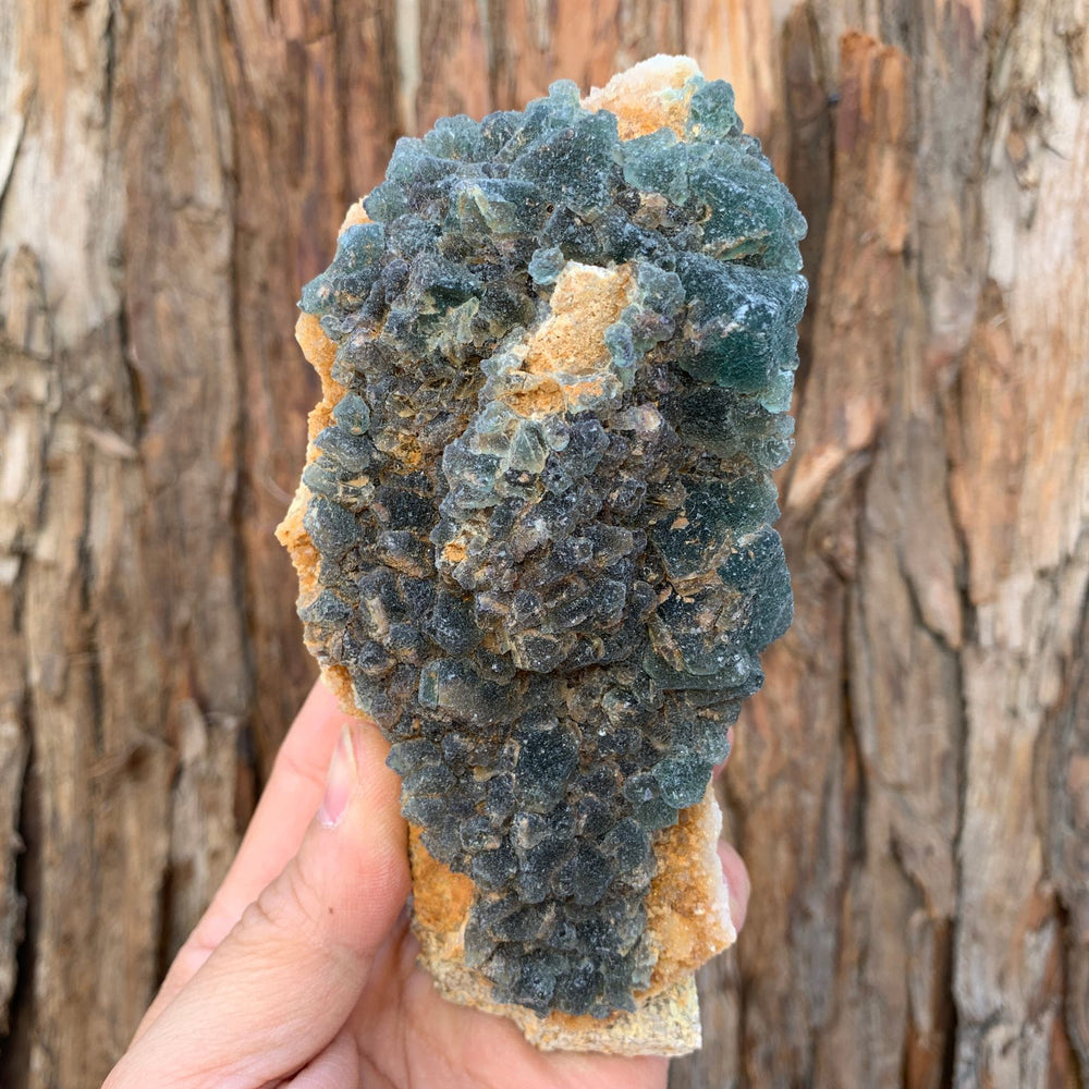 14cm 698g Green Fluorite from Heilongjiang, China