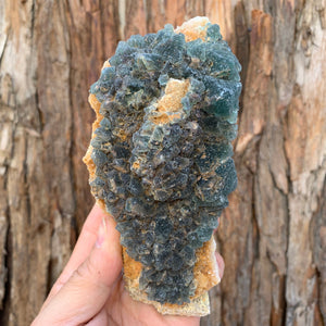 14cm 698g Green Fluorite from Heilongjiang, China