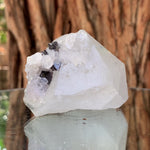 6cm 158g Scheelite & Clear Quartz from Yaogangxian Mine, China