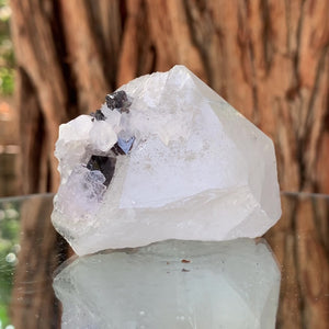 6cm 158g Scheelite & Clear Quartz from Yaogangxian Mine, China
