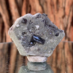 4.5cm 50g Scheelite & Calcite from Yaogangxian Mine, China