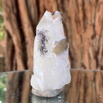 5.5cm 52g Scheelite & Clear Quartz from Yaogangxian Mine, China