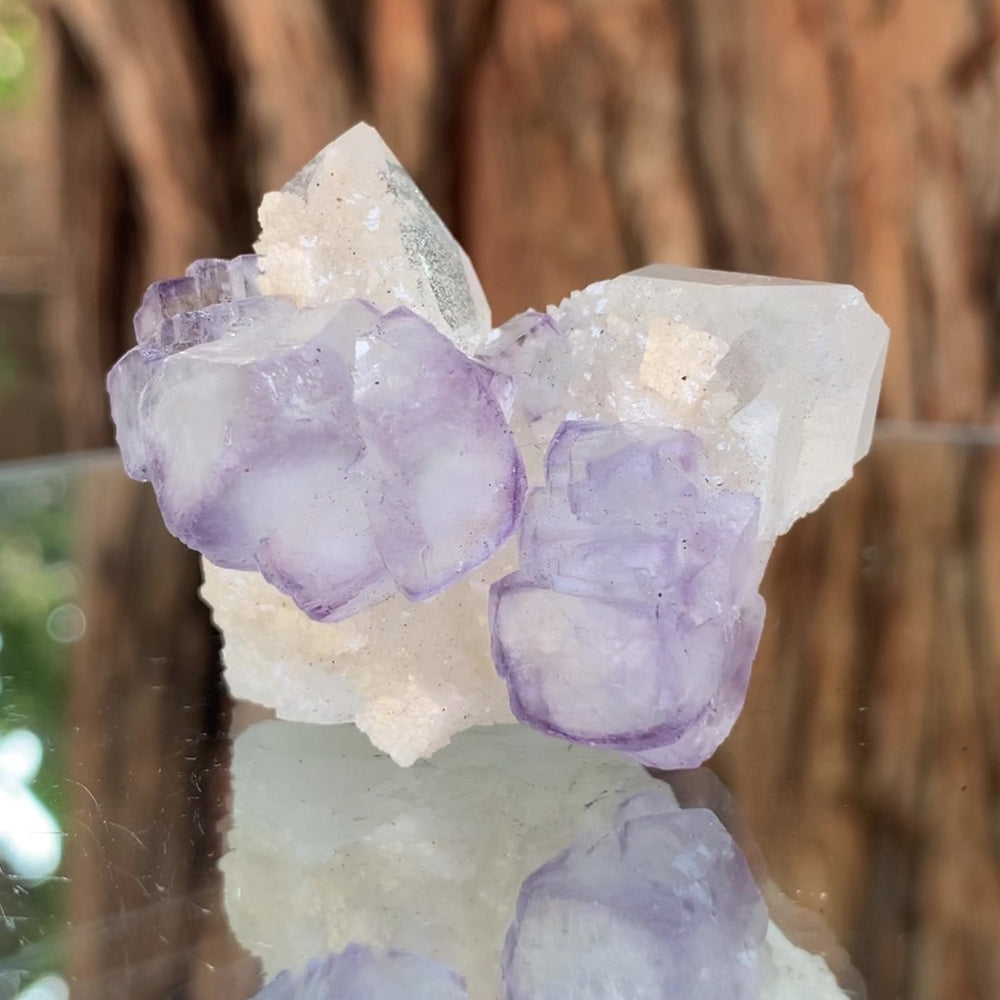 
            
                Load image into Gallery viewer, 5cm 44g Purple Fluorite &amp;amp; Clear Quartz from Yaogangxian Mine, China
            
        