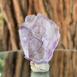 4.5cm 40g Purple & Clear Fluorite from Yaogangxian Mine, China