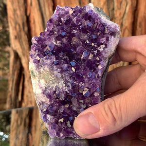 
            
                Load image into Gallery viewer, 10.5cm 510g Amethyst Cluster from Uruguay
            
        