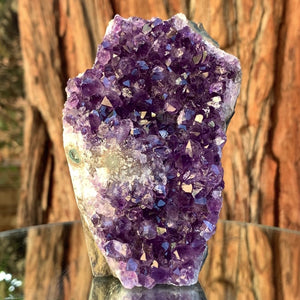 
            
                Load image into Gallery viewer, 10.5cm 510g Amethyst Cluster from Uruguay
            
        