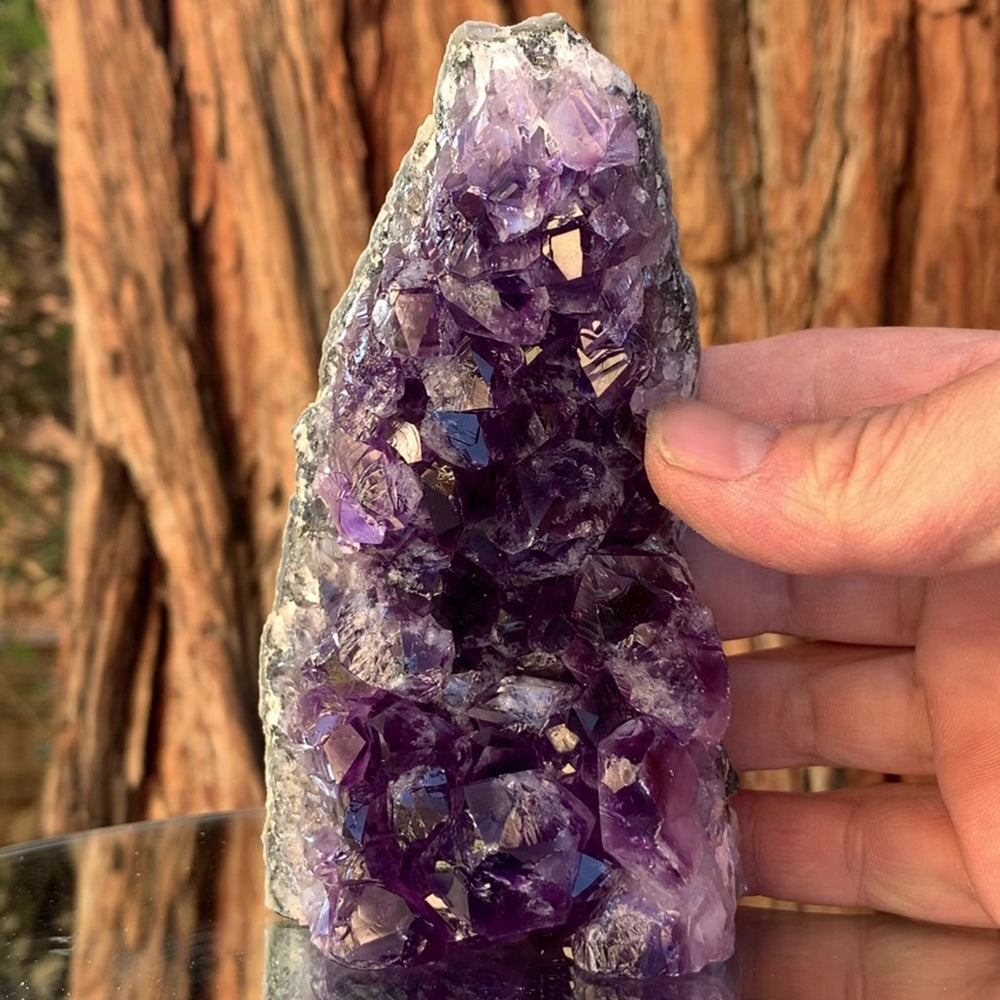 
            
                Load image into Gallery viewer, 11.5cm 462g Amethyst Cluster from Uruguay
            
        