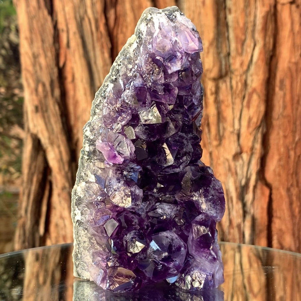 
            
                Load image into Gallery viewer, 11.5cm 462g Amethyst Cluster from Uruguay
            
        