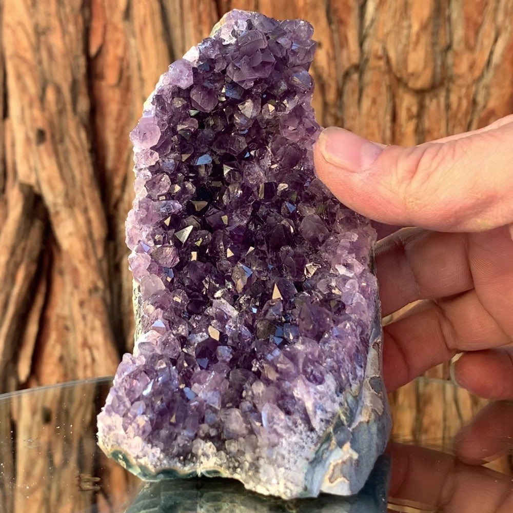 11.5cm 470g Amethyst Cluster from Uruguay