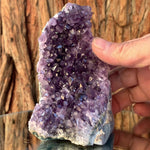 11.5cm 470g Amethyst Cluster from Uruguay