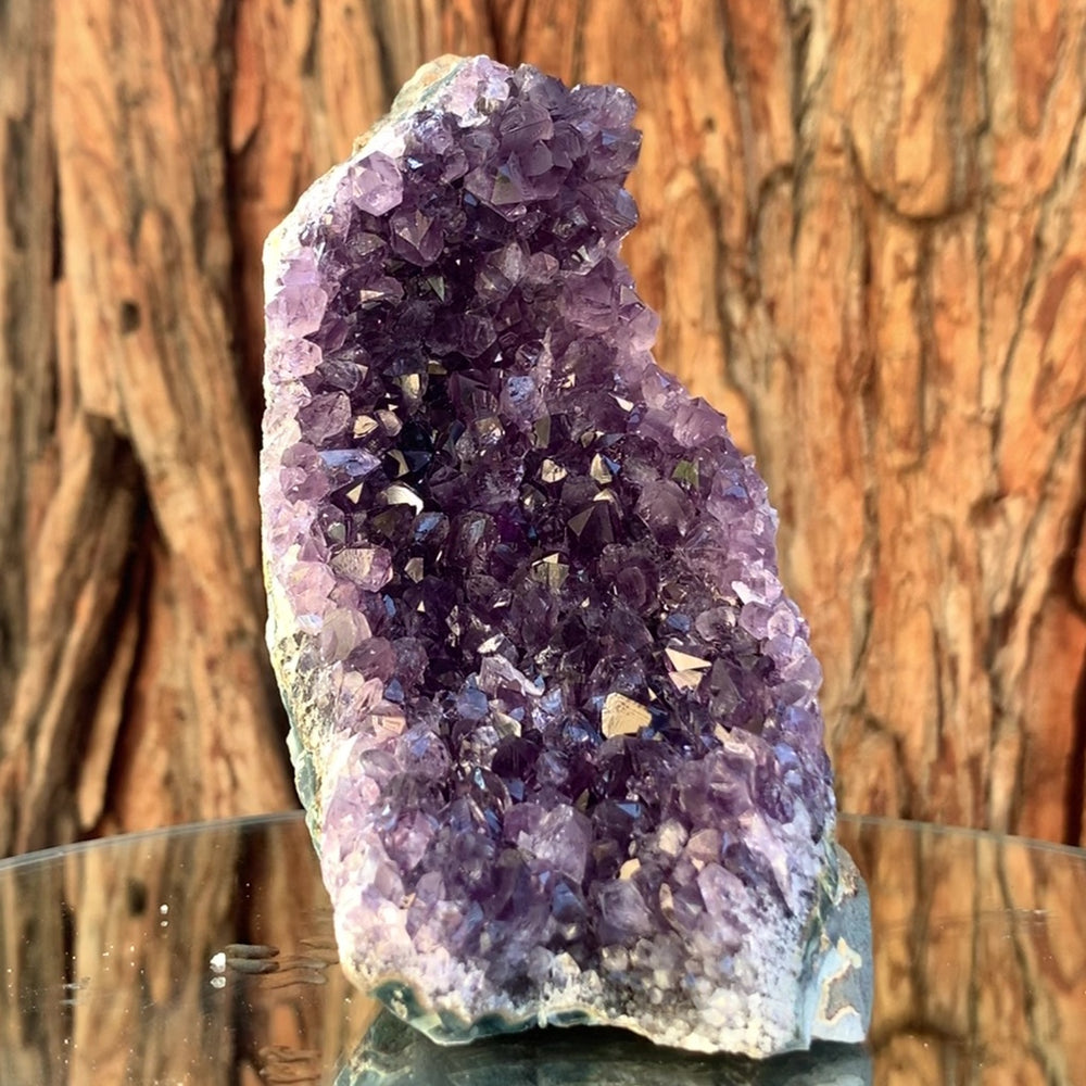 
            
                Load image into Gallery viewer, 11.5cm 470g Amethyst Cluster from Uruguay
            
        