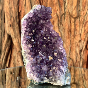 
            
                Load image into Gallery viewer, 11.5cm 470g Amethyst Cluster from Uruguay
            
        