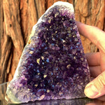 13.5cm 1.18kg Amethyst Cluster from Uruguay