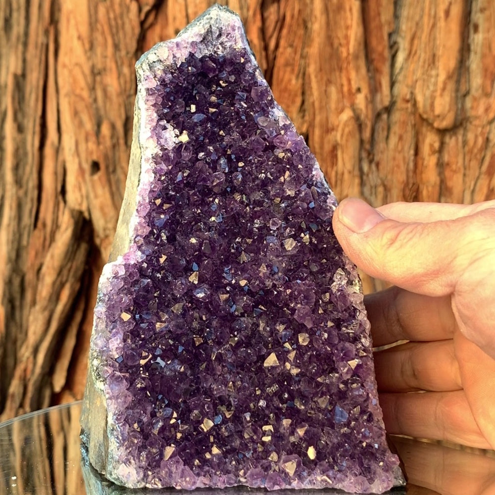 15.5cm 1.41kg Amethyst Cluster from Uruguay