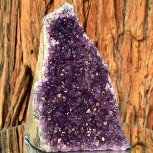 15.5cm 1.41kg Amethyst Cluster from Uruguay