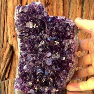15cm 2.66kg Amethyst Cluster from Uruguay