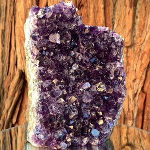 15cm 2.66kg Amethyst Cluster from Uruguay