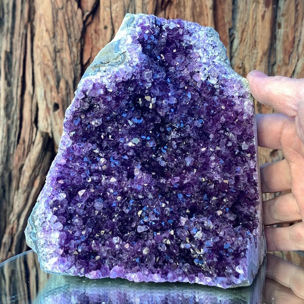 
            
                Load image into Gallery viewer, 16cm 1.98kg Amethyst Cluster from Uruguay
            
        