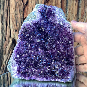 16cm 1.98kg Amethyst Cluster from Uruguay