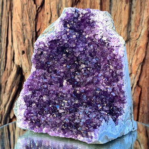 16cm 1.98kg Amethyst Cluster from Uruguay