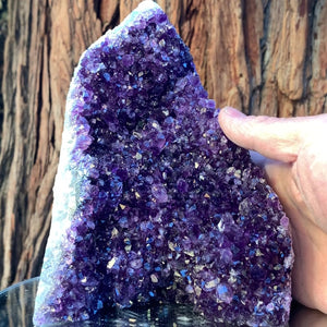 17cm 2.51kg Amethyst Cluster from Uruguay