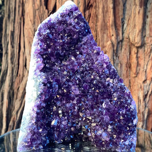 17cm 2.51kg Amethyst Cluster from Uruguay