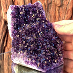 12cm 1.19kg Amethyst Cluster from Uruguay