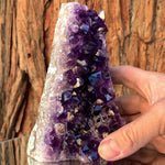 13.5cm 1.28kg Amethyst Cluster from Uruguay