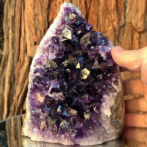 14.5cm 1.63kg Amethyst Cluster from Uruguay