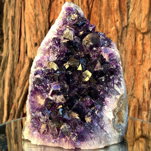 14.5cm 1.63kg Amethyst Cluster from Uruguay