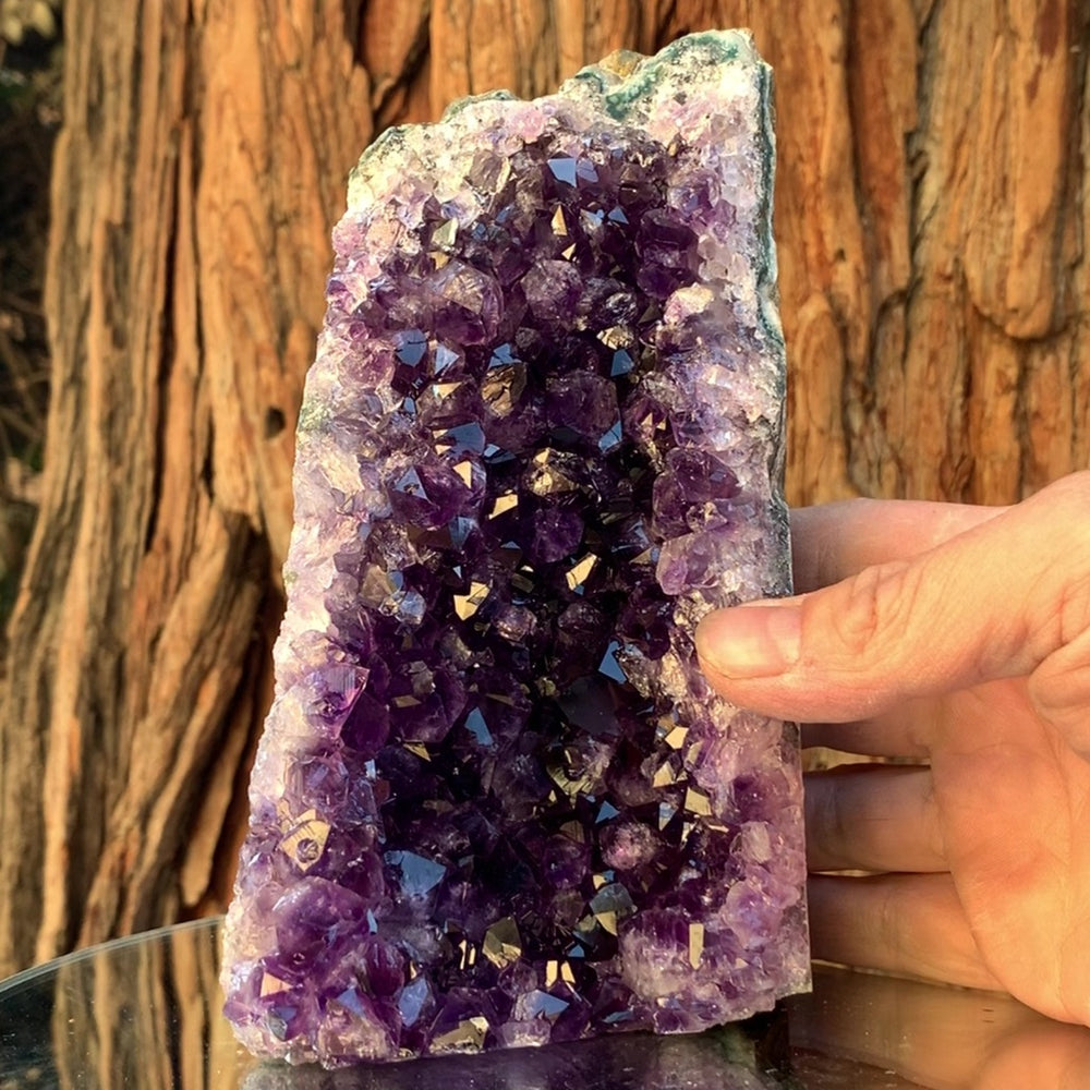 16.5cm 1.41kg Amethyst Cluster from Uruguay