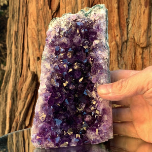 16.5cm 1.41kg Amethyst Cluster from Uruguay