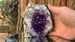 11.5cm 590g Amethyst Cluster from Uruguay