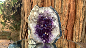 11.5cm 590g Amethyst Cluster from Uruguay