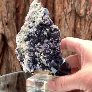 12.5cm 535g Dark Purple Fluorite, Huanggang Mine, Inner Mongolia, China