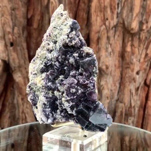 12.5cm 535g Dark Purple Fluorite, Huanggang Mine, Inner Mongolia, China