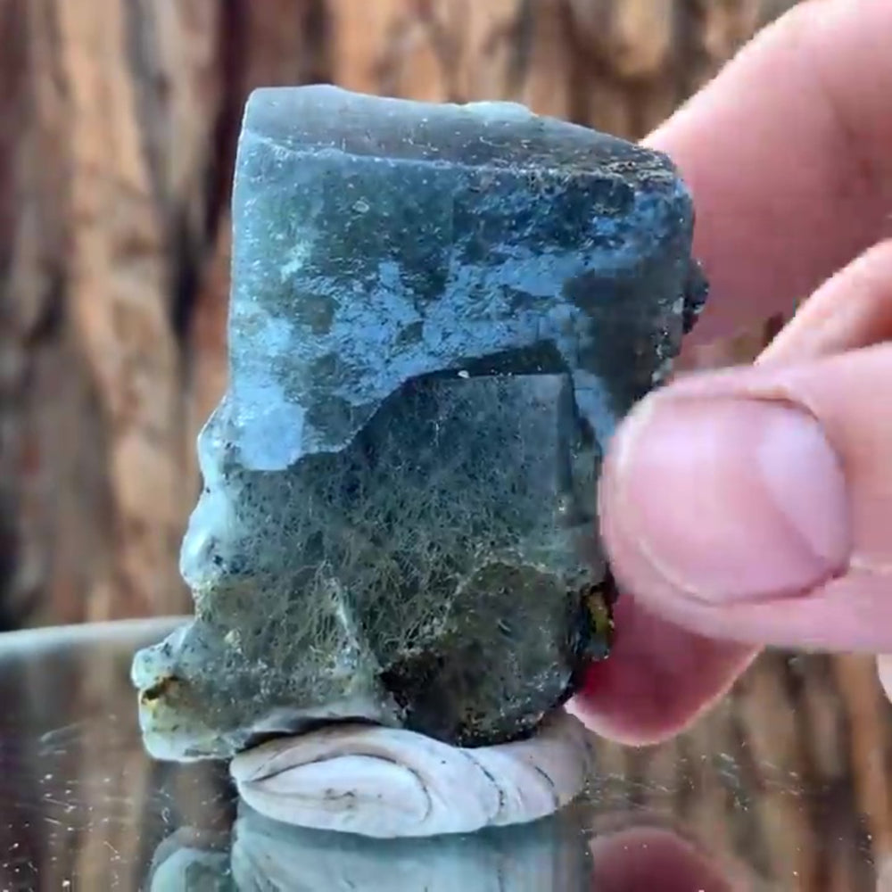 5.5cm 100g Blue Fluorite & Chalcopyrite from Huanggang Mine, Inner Mongolia, China