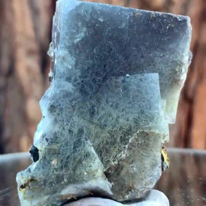 5.5cm 100g Blue Fluorite & Chalcopyrite from Huanggang Mine, Inner Mongolia, China
