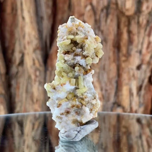 6.7cm 32g Pyromorphite from Daoping Mine, Guangxi, China