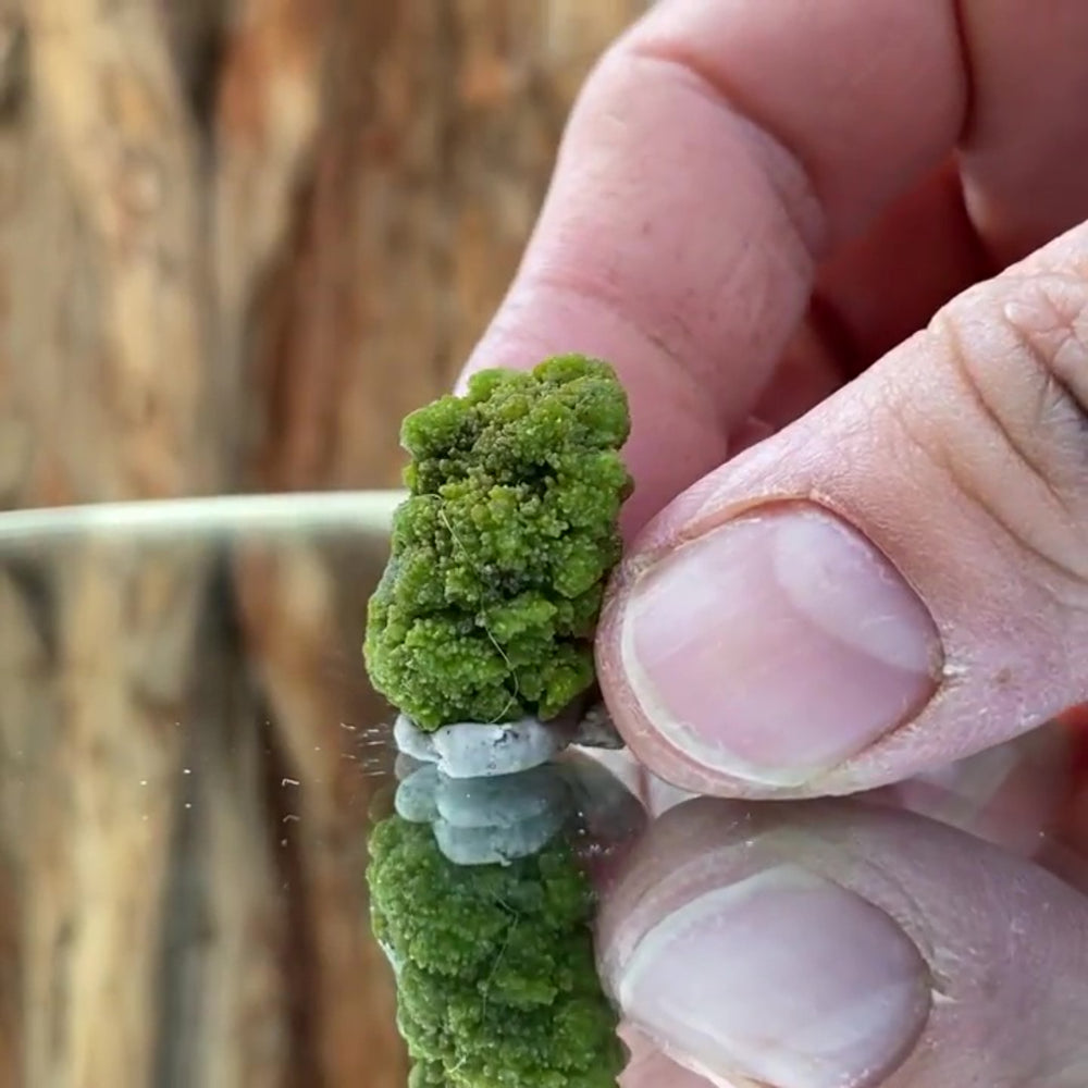 2.2cm 10g 0.01kg Pyromorphite from Daoping Mine, Guangxi, China